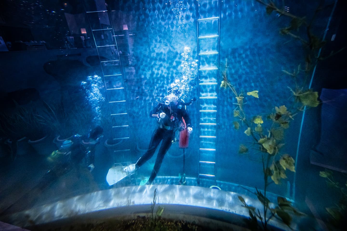 スキューバーダイビング